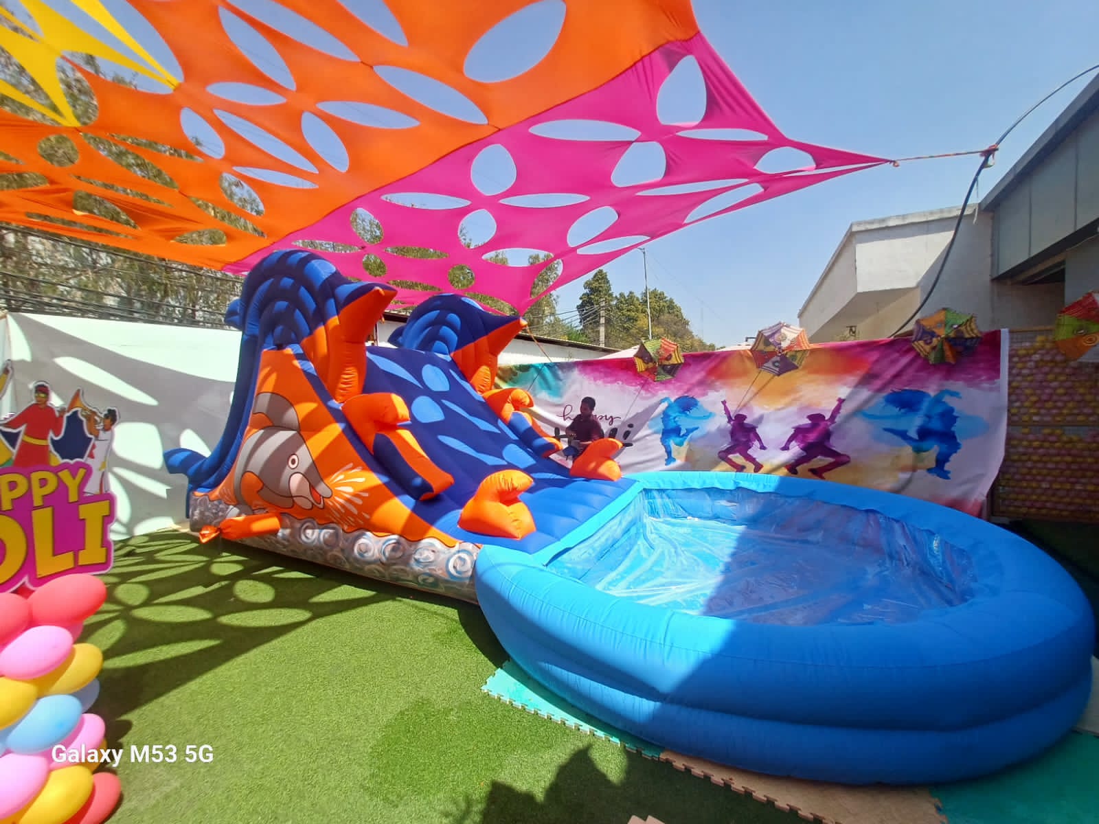  Water Dolphin Bouncy